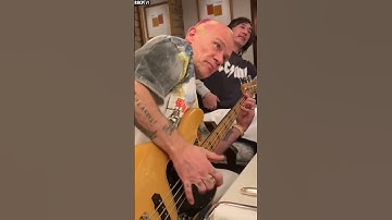 Flea - Slap Bass Lesson! #Shorts #Flea #RedHotChiliPeppers