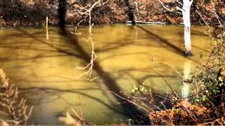 Toxic Legacy: The cleanup (part2of3)