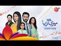 Meri Guriya I OST |  AAN TV | Pakistan's First Family Entertainment Channel