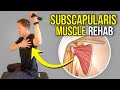 5 Exercises for the Subscapularis Muscle (Rotator Cuff Rehab)