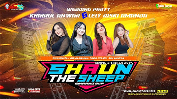LIVE SHAUN THE SHEEP - WEDDING KHAIRUL ANWAR & LELY RISKI A - SITIMULYO PUCAKWANGI | COUNSTITY AUDIO