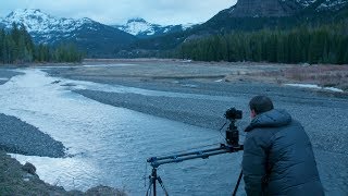 Chasing Light: Early Spring in Yellowstone