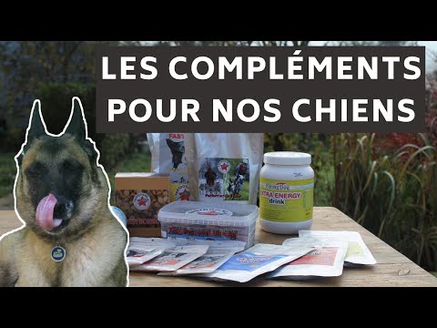 Vidéo: Comment déterminer quels suppléments sont sans danger et efficaces pour votre chien
