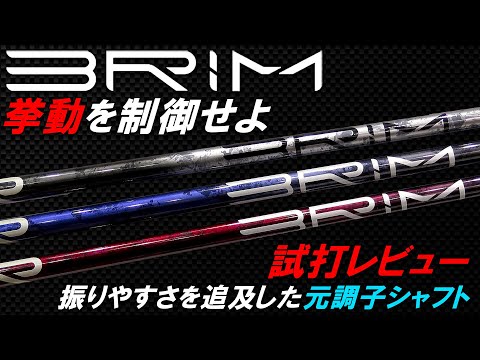 試打8球のみ☆最新モデル☆パラダイム☆ジェイソンデイ愛用シャフト☆デュアルコア