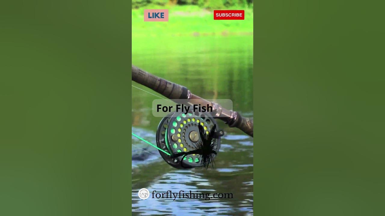 How do Polarized Sunglasses Work? YouTube