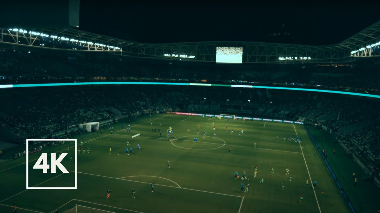 Allianz Parque on X: O PALMEIRAS APLICA UMA VIRADA HISTÓRICA E GARANTE O  TÍTULO DO CAMPEONATO PAULISTA DE 2022! 🏆 PARABÉNS, MEU @Palmeiras POR MAIS  UMA NOITE HISTÓRICA NO ALLIANZ PARQUE.  /