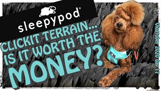 Car safety for dogs | Sleepypod Clickit Terrain review | Vlogtober 2020 day 17