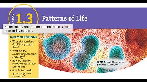 Patterns of Life