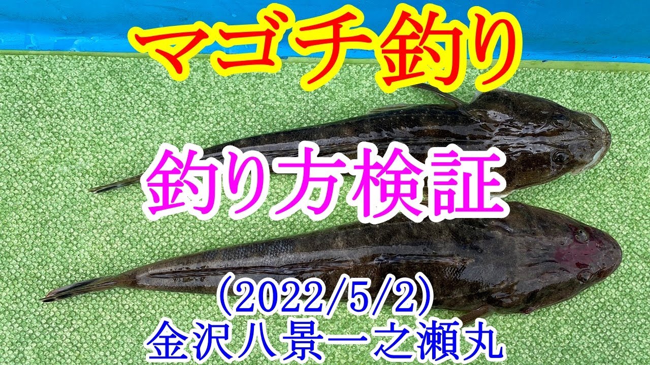 東京湾でマゴチ釣り サイマキ餌で船マゴチの釣り方を検証してみた Youtube