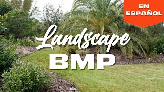 Landscape BMP (Spanish)