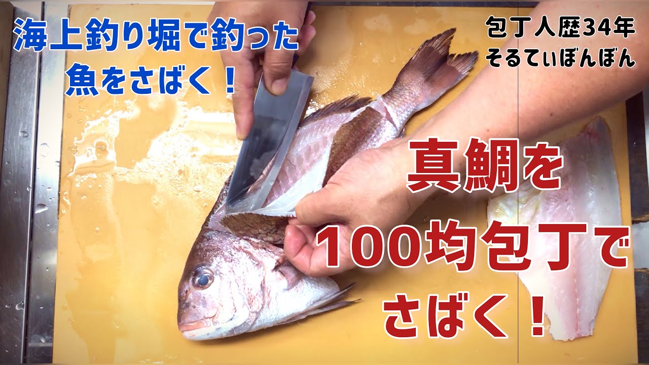 【海上釣り堀で釣った魚をさばく!真鯛を100均包丁でさばく】 - YouTube
