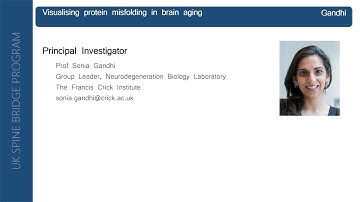 Visualizing protein misfolding in brain aging - Sonia Gandhi (Crick)