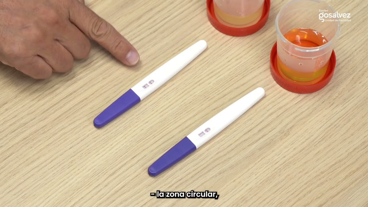 ¿Cómo hacer un test de embarazo correctamente? | Equipo Gosálvez