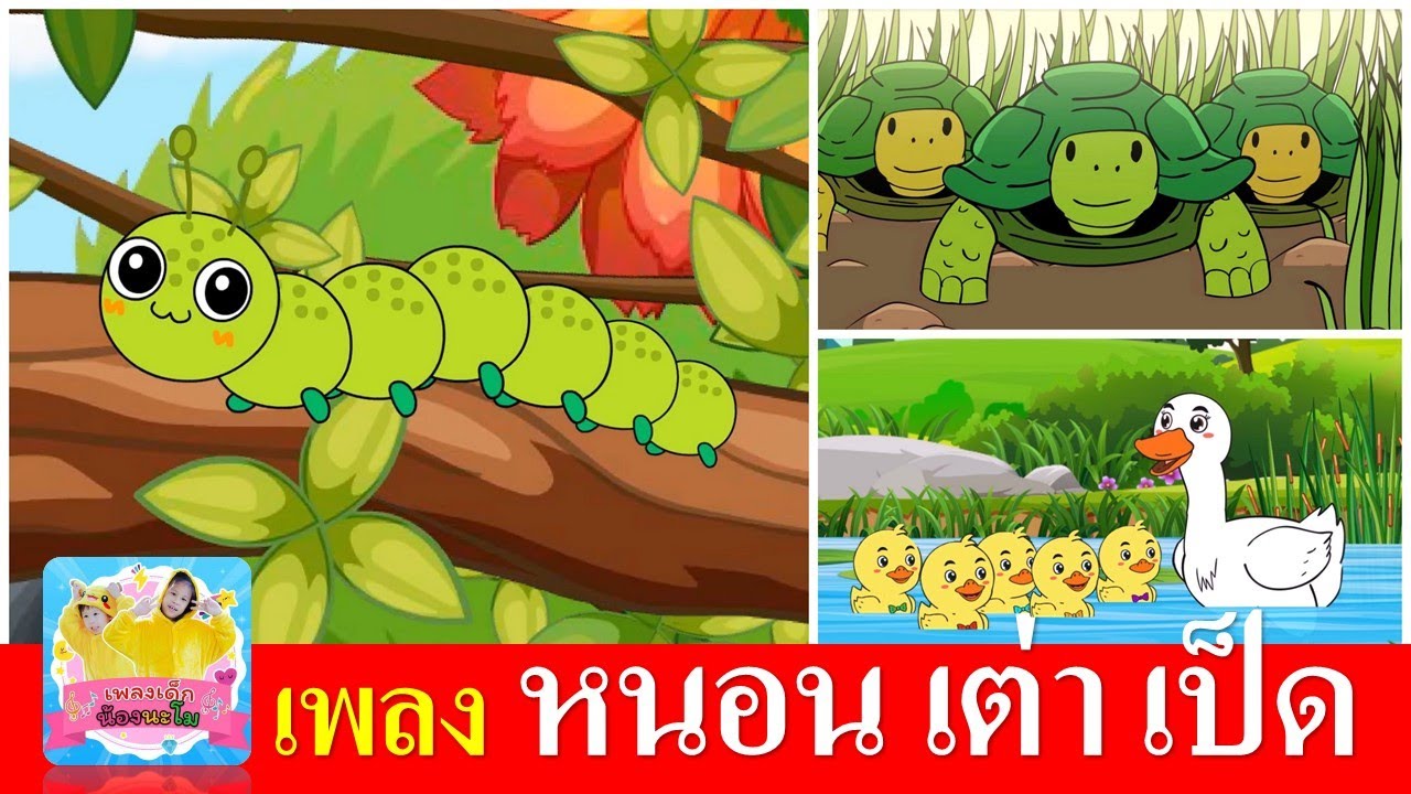 เพลงเด็กในตำนาน หนอน เต่า เป็ด  | หนอนต้วมเตี้ยม | เต่าเอ๋ยเต่า |  เป็ดก้าบก้าบ | เพลงเด็กอนุบาล