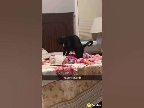 Funny vids from CocoFun app - YouTube