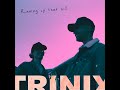 Trinix  running up that hill remix