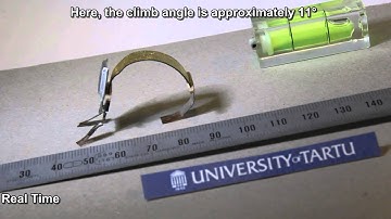 Ionic and Capacitive Artificial Muscle for Biomimetic Soft Robotics