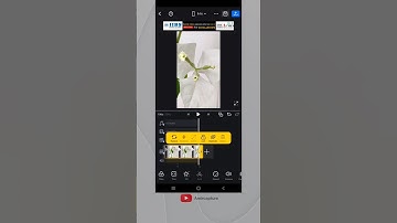 how to get a smooth zoom in effect #shorts #vn #editor #zoomeffects #tutorial