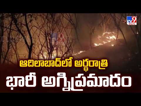 Adilabad Fire Accident : ఆదిలాబాద్ లో అర్థరాత్రి భారీ అగ్నిప్రమాదం - TV9 - TV9