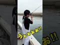 こんなにも簡単に大物が釣れるの⁉️😳👏 #船長の日常