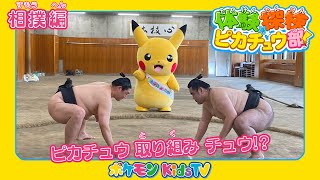 【ポケモン公式】体験探検ピカチュウ部「相撲編」ポケモン Kids TV