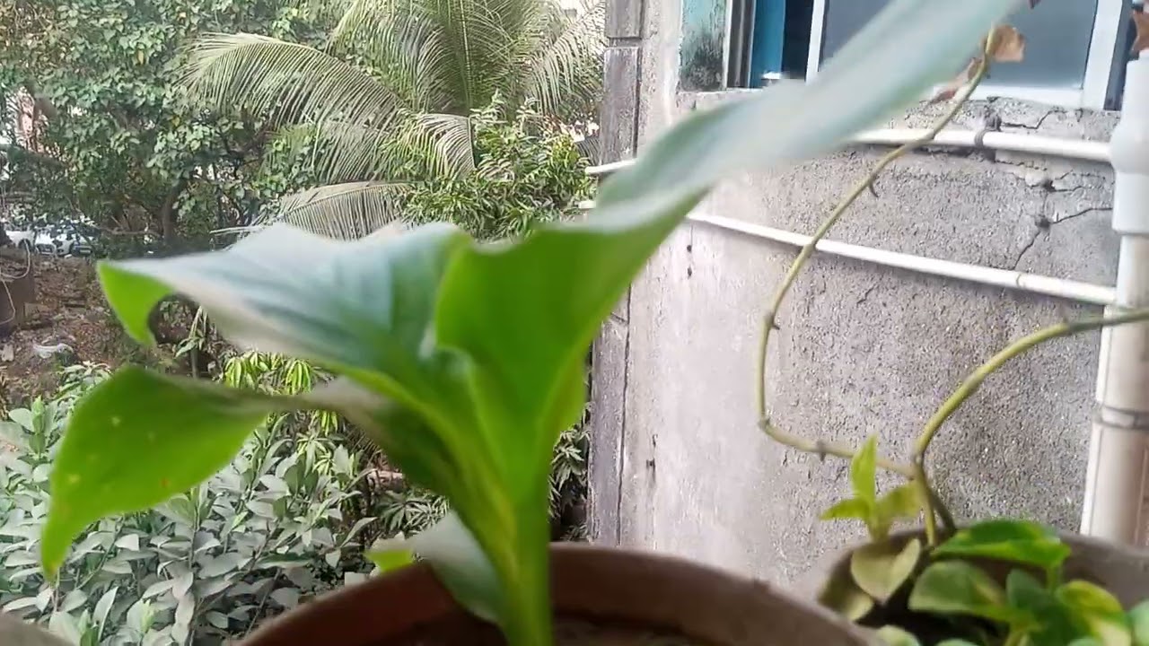 આજે ક્યાં તમને કેવી લાગી એ જોઈને કોમેન્ટ કરજો મારા વાલા 