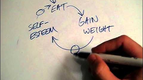 Influence Diagram Episode