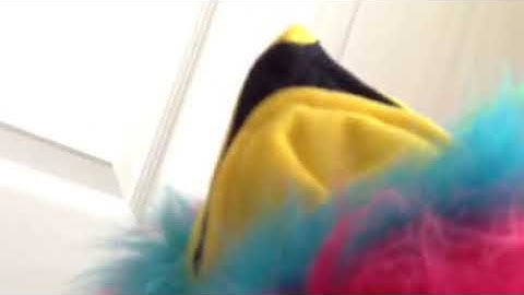 My weird parrot puppet