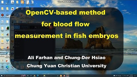 OpenCV-based blood flow measurement in fish embryos
