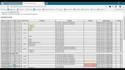 Trajecsys Part 2.4 - Reports - Time Totals