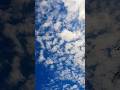 What An Amazing Cotton Candy Cloud Formation In A Clear Blue Sky Nature Shorts Clouds Bluesky mp3