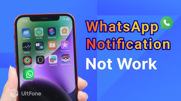 [Fixed] WhatsApp Notification Not Working on iPhone Home Screen 2023