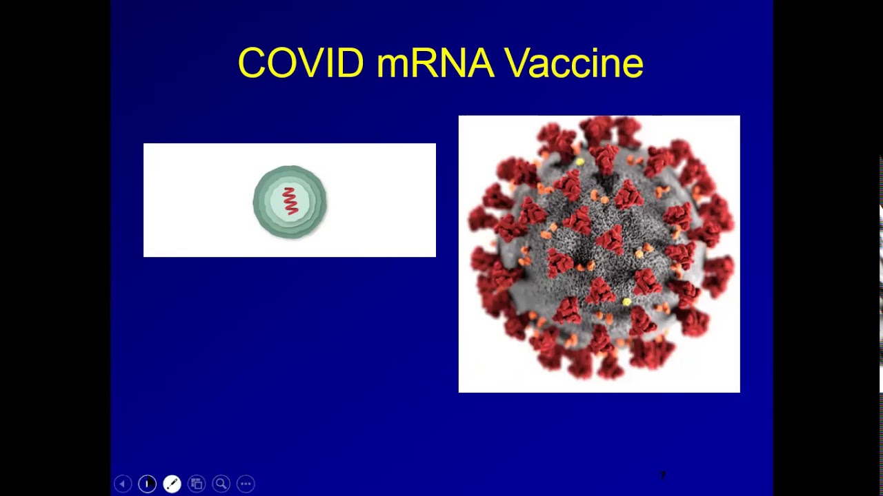The Covid 19 Vaccine Is Coming To Whittier Health Network In Massachusetts Everything You Need To Know About The Mrna Covid 19 Vaccine Dr Paul Liguori Whittier Health Network