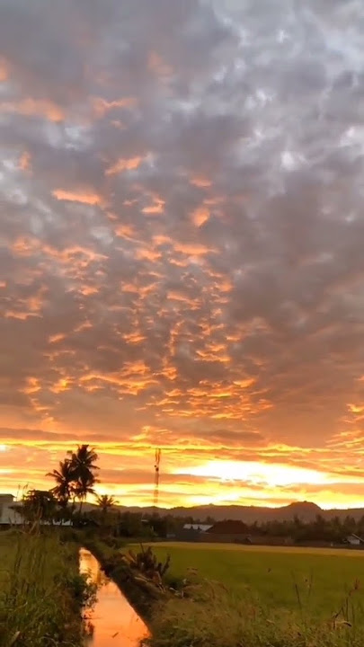 #shsorts #sholawat #senja