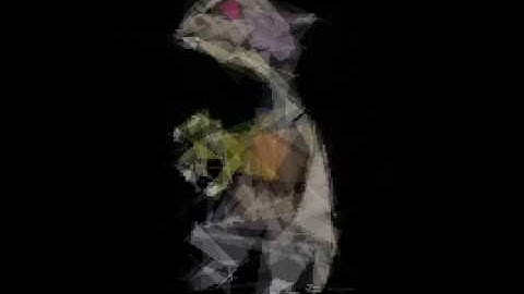 Polygon Image Evolution