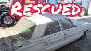 ABANDONED MOPAR, 1966 Plymouth Belvedere? Rescued?