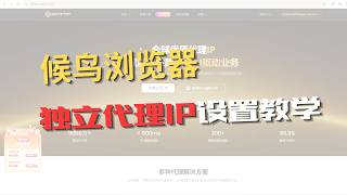 9HTTP配置候鸟指纹浏览器保姆级教程|多账号防关联必看|静态ip|跨境电商