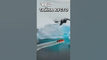 Что на самом деле искал Жак Кусто в Антарктиде