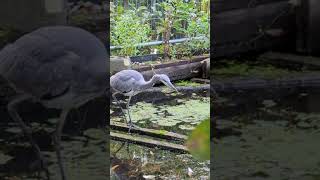 Stealth is the biggest asset of the fisherman... #norfolk