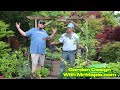 Garden Design With Bryan &amp; Bubs