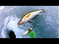 Ловля СУДАКА зимой  | Зимняя рыбалка 2021