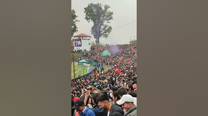 Nepal vs UAE Final Nepali crazy cricket supporter #nepali #crazy #supporter