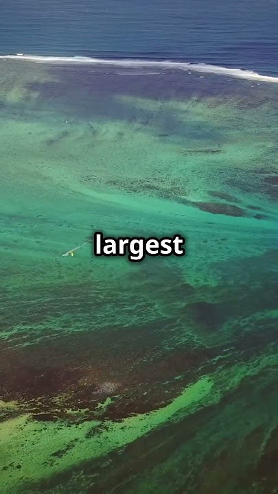 7 Seas Facts You Didn’t Know! #facts #funfacts