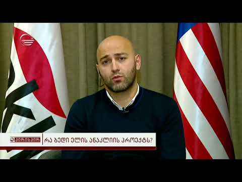 ანაკლიის კონსორციუმი აღიარებს, რომ მათ მთავრობისათვის კონკრეტული წინადადებები არ გაუგზავნიათ