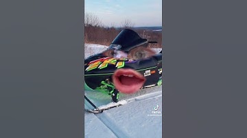 A Taiga owner/Greasy Triple owner walk into a bar… #snowmobile #life #funny #darkhumor #viral #fypシ