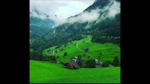 من سورة الزمر للقارئ : محمد الغزالي