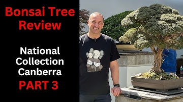 Bonsai Tree Review of National Bonsai Collection Canberra Part 3 Australian Native
