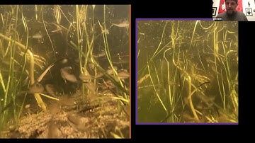 GMT20250909 024121 Recording 1920x1120