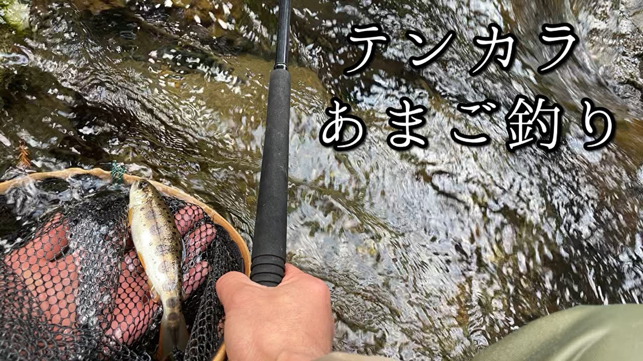 ゆるいアマゴの渓流で【テンカラ】