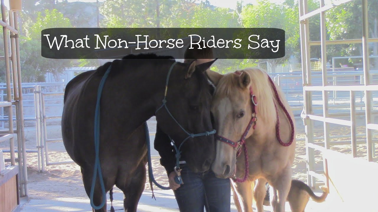 What Non Horse Riders Say Part 1